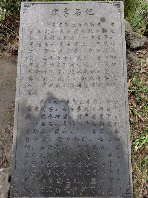 (作者提供)