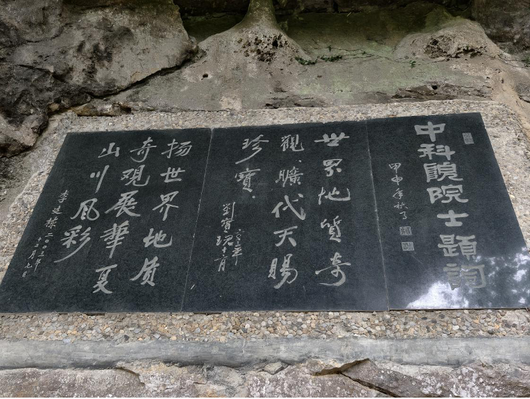 (作者提供)