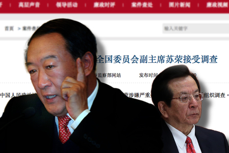 中共副国级高官落马 周永康案滚雪球(图文)