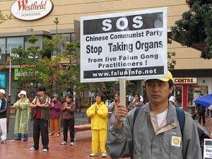 604292356261599--ss.jpg