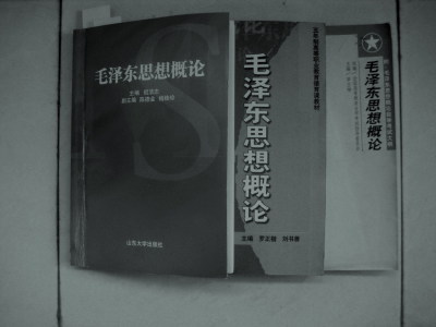 孙文广:毛泽东领导的〝革命〞是邪路